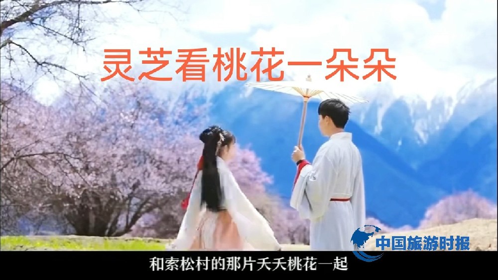 灵芝仙境现绝美邂逅，桃花白云见证浪漫奇迹！