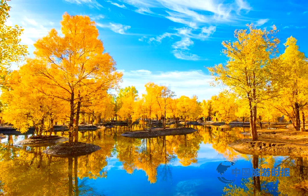 探秘额济纳旗胡杨林：自然奇迹的守护者——中国旅游时报